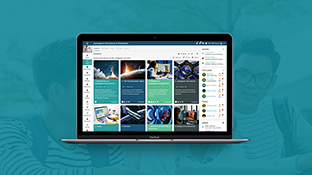 Etapas típicas de uma implementação NEO