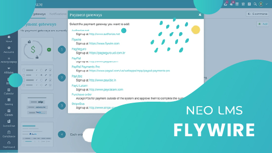 neo-features-flywire
