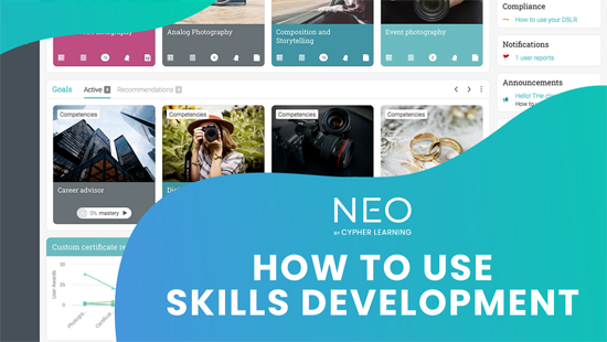 neo-features-how-to-use-skills-development